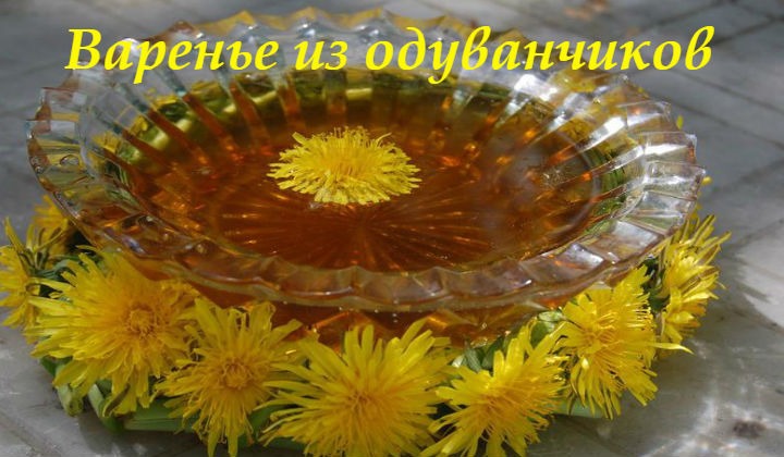 Варенье из одуванчиков