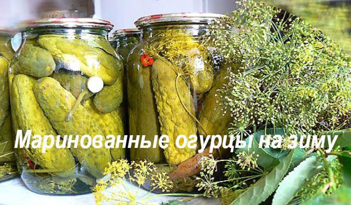 Огурцы маринованные на зиму