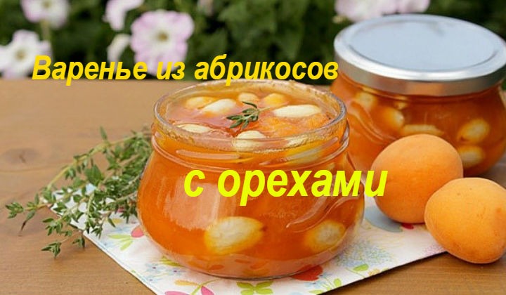 Варенье из абрикосов без косточки