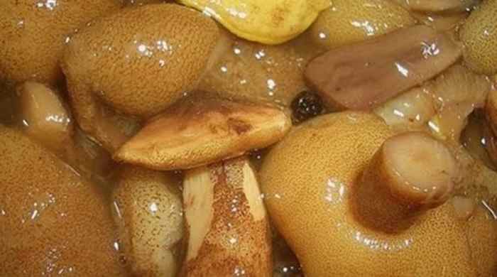 Маринованные маслята на зиму