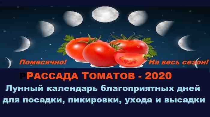 лунный календарь посадки рассады помидор